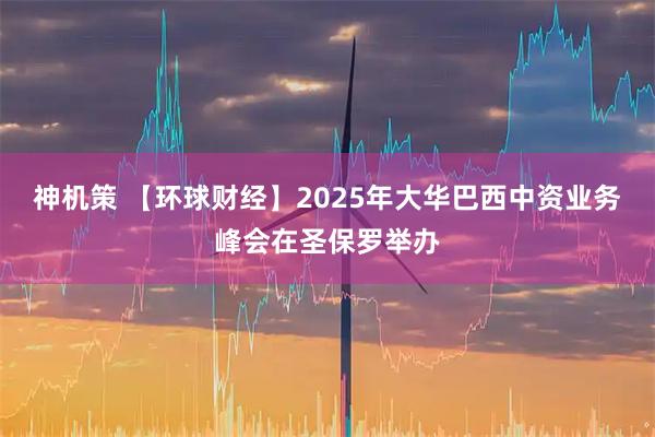 神机策 【环球财经】2025年大华巴西中资业务峰会在圣保罗举办