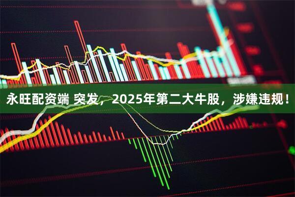 永旺配资端 突发，2025年第二大牛股，涉嫌违规！