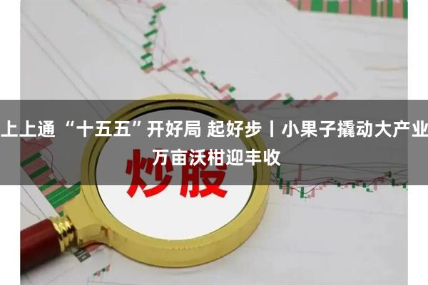 上上通 “十五五”开好局 起好步丨小果子撬动大产业 万亩沃柑迎丰收