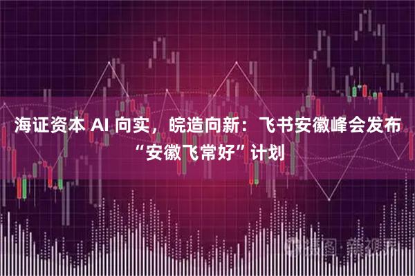 海证资本 AI 向实,皖造向新:飞书安徽峰会发布“安徽飞常好”计划