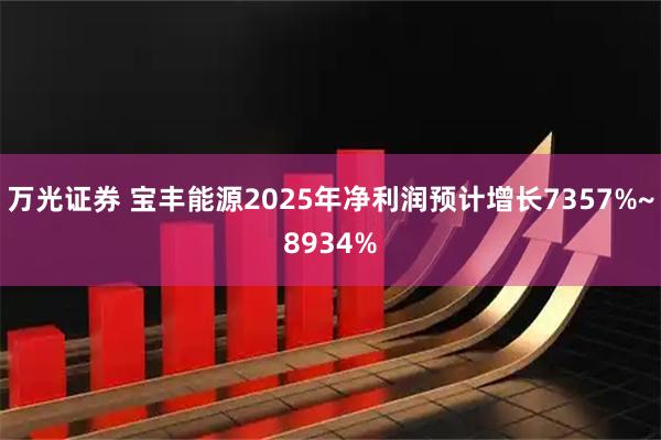 万光证券 宝丰能源2025年净利润预计增长7357%~8934%